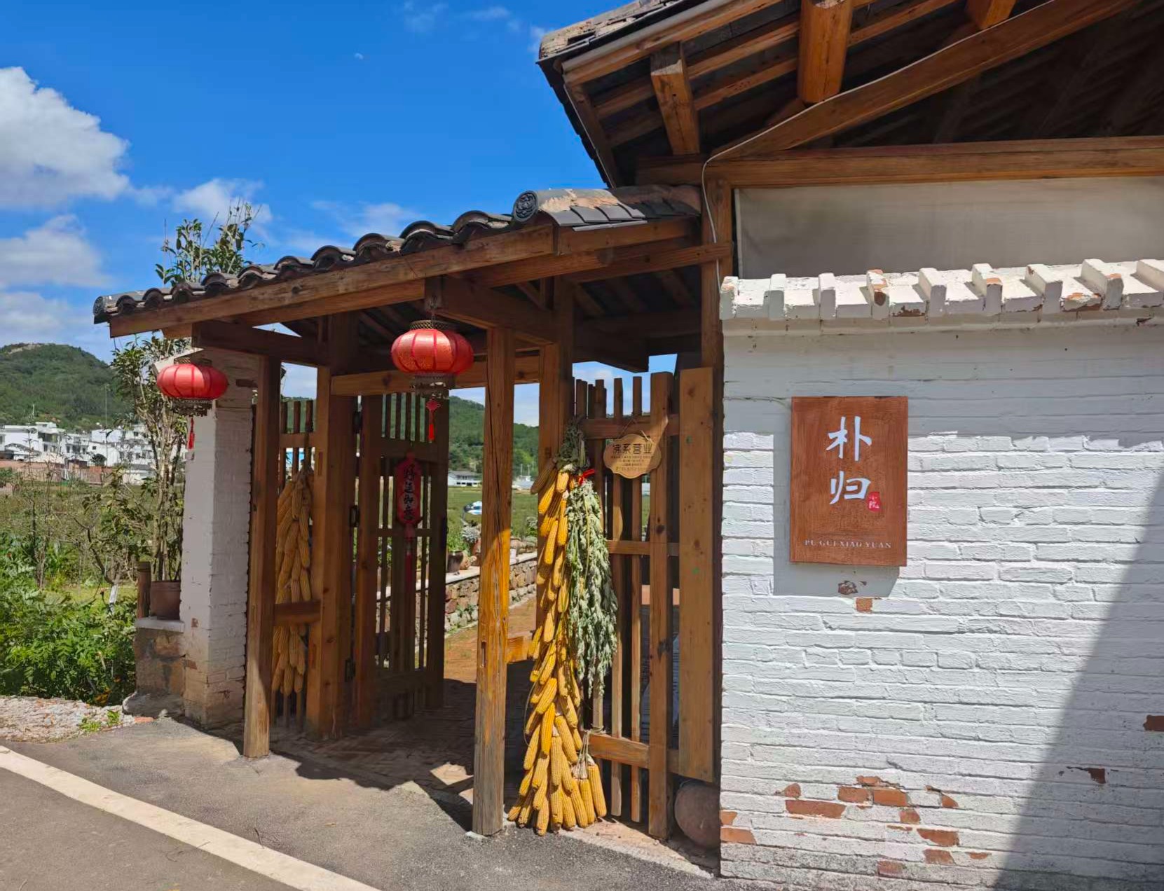 再走长征路|千亩玫瑰“种”出农文旅融合新图景(图2)